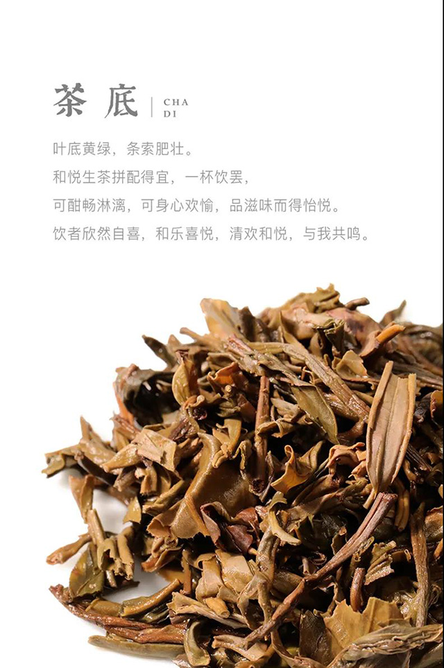 大益和悦普洱茶