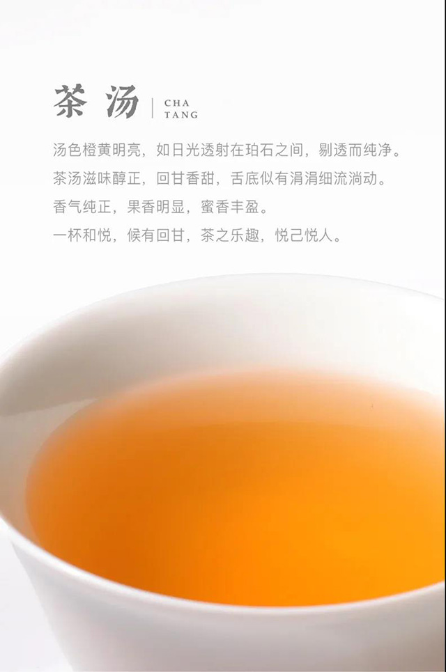 大益和悦普洱茶