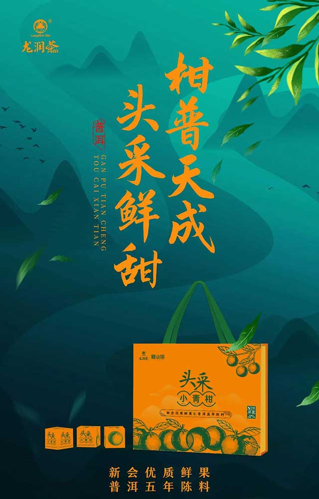 龙润茶龙小宝新会小青柑