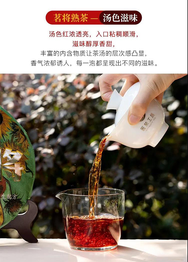 老同志2021年茗将生熟茶