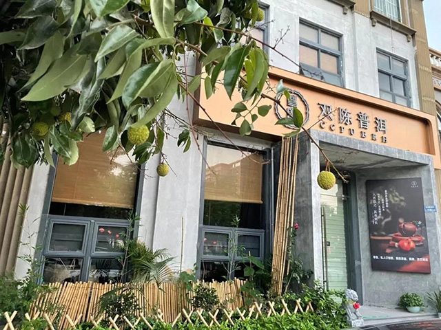 双陈普洱东莞清溪店