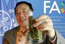 「行业聚焦」第二个国际茶日，联合国粮农组织高度赞美茶
