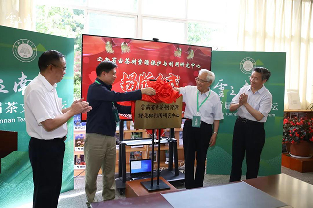 云南省古茶树资源保护与利用研究中心挂牌成立