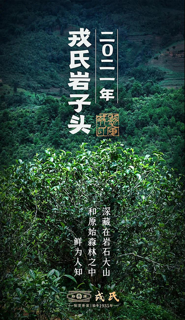 戎氏岩子头普洱茶