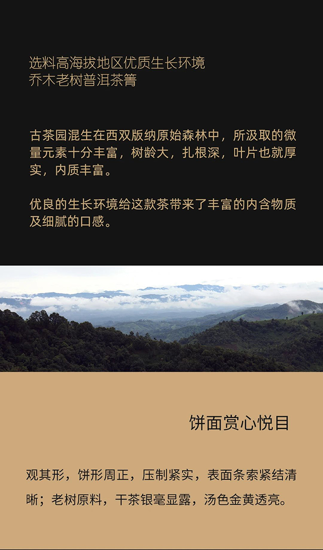 老同志2021年上林春生饼