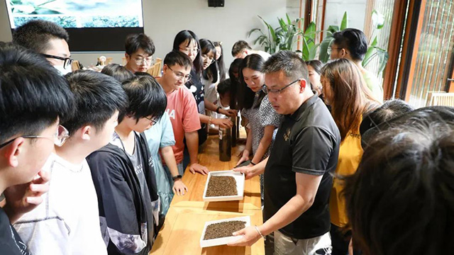 云南农业大学普洱茶学院学生参观海湾茶业