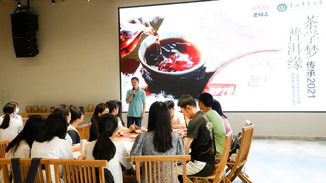 云南农业大学普洱茶学院学生参观海湾茶业