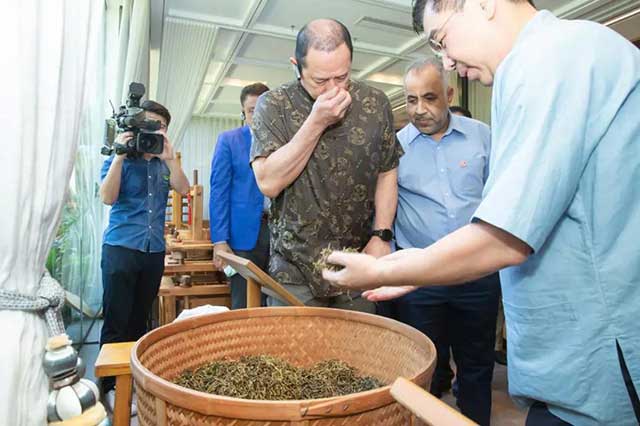 肖文华展示非物质文化遗产乌龙茶铁观音制作技艺