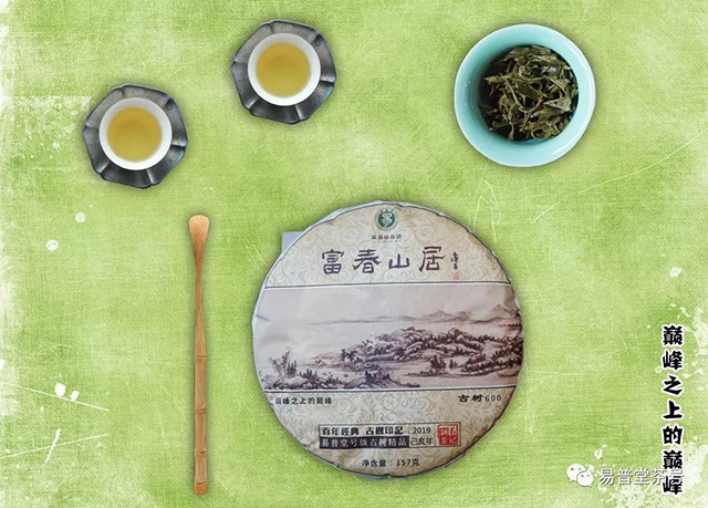 易普堂富春山居古树茶