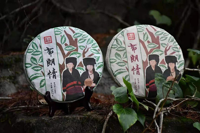 云南普洱茶布朗原味首次品享会