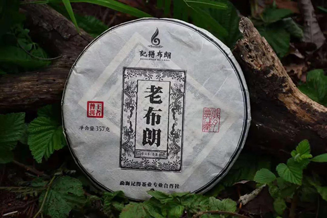 云南普洱茶布朗原味首次品享会