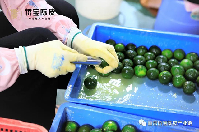 侨宝七月果