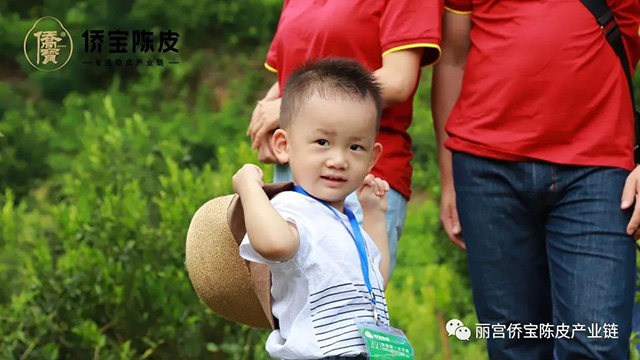 侨宝七月果