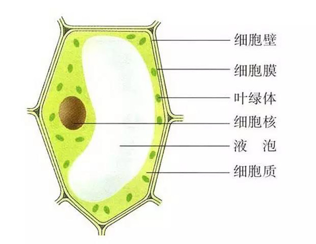 龙润茶86道质量把关