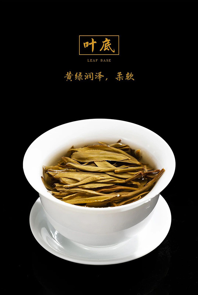 龙润茶2021藏香普洱茶