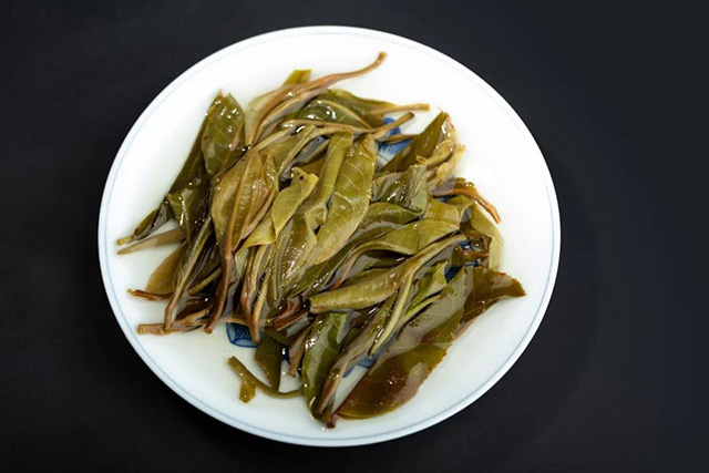 龙润曼松贡茶普洱茶