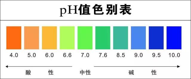 龙润茶86道质量把关