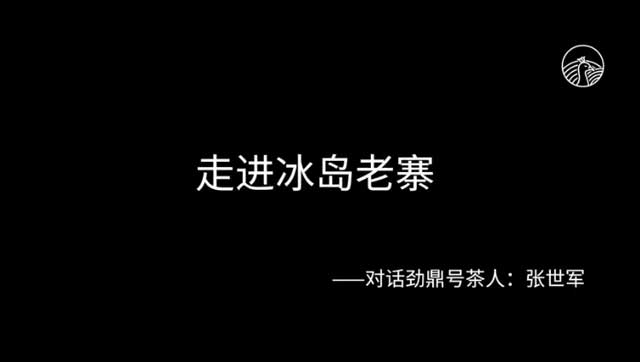 孔雀山行冰岛老寨48号茶人张世军