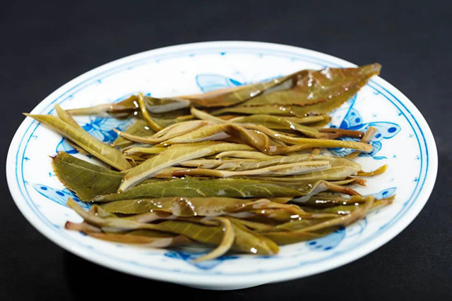 龙润茶困鹿山贡茶