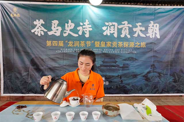 龙润茶节皇家贡茶探源之旅南糯山