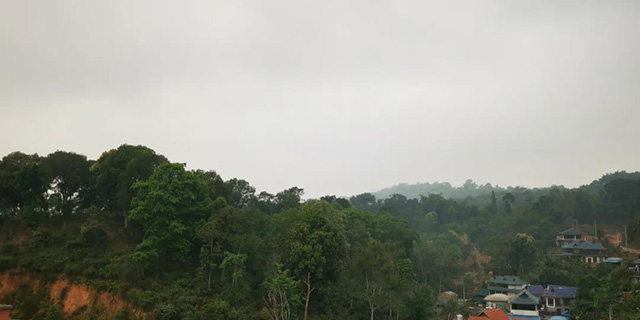 龙润茶节皇家贡茶探源之旅南糯山