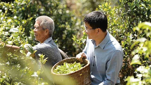 勐库戎氏茶业