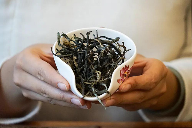津乔普洱茶