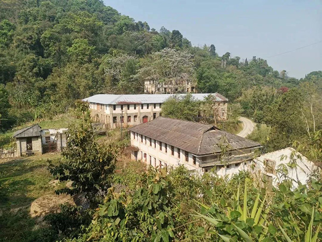 龙润茶南糯山普洱茶