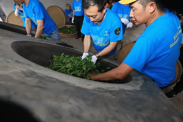 龙润茶节新品鉴藏会