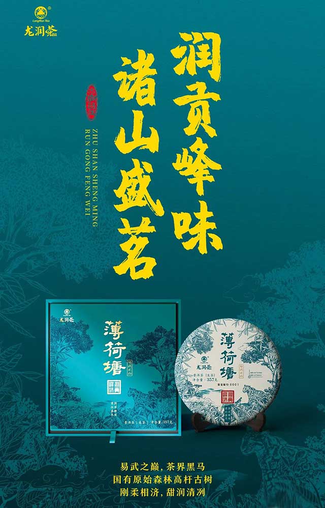 龙润茶节新品鉴藏会