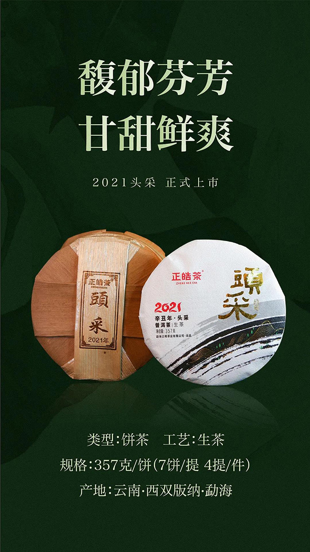 正皓茶2021头采勐海头春大树茶