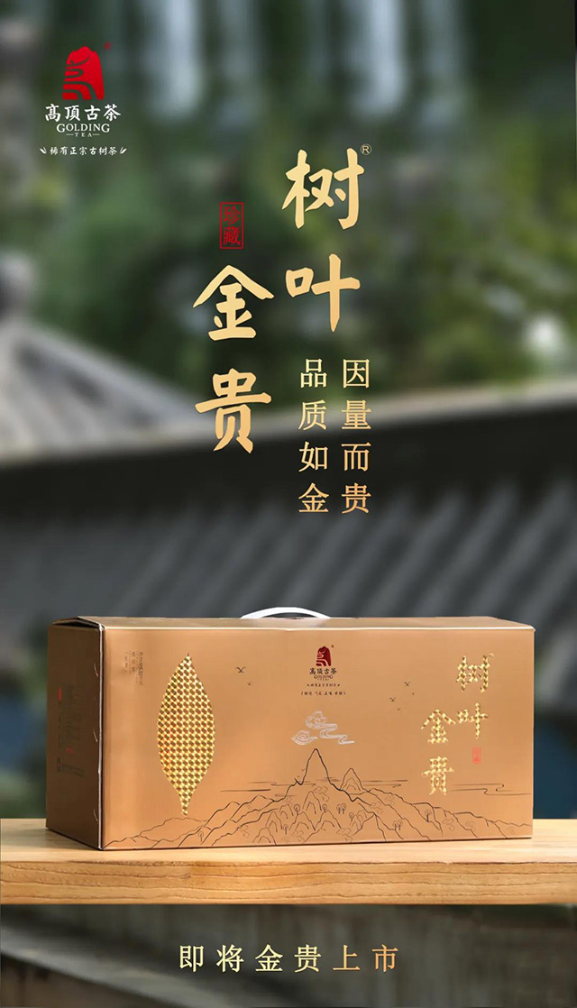 高顶古茶树叶金贵珍稀古树茶