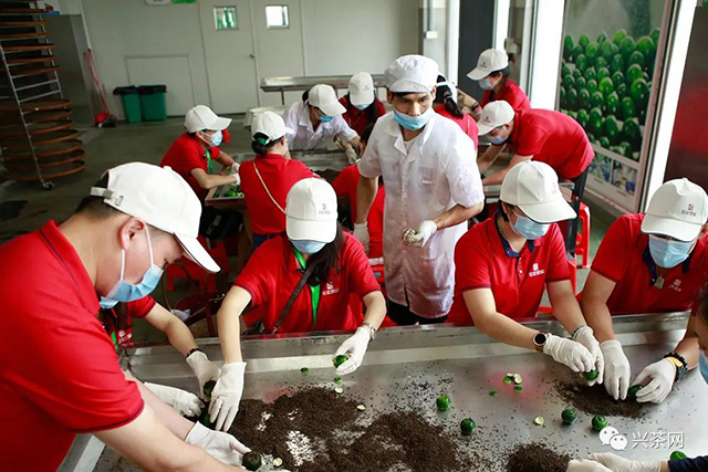 第六届中国新会陈皮文化节