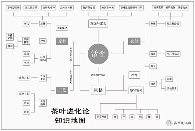 茶叶进化论知识地图