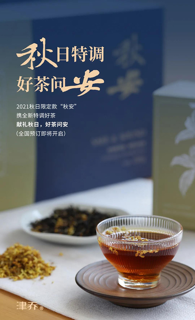 津乔普洱茶礼品茶秋安