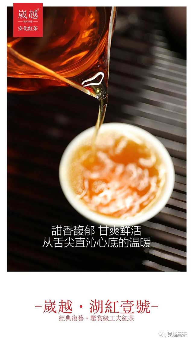 岁越黑茶湖红一号功夫红茶