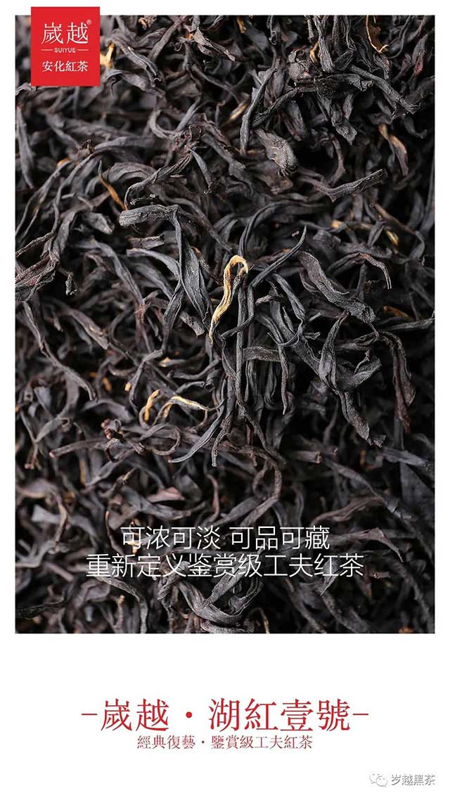 岁越黑茶湖红一号功夫红茶