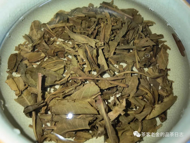 苦行茶僧2018年不是昔归