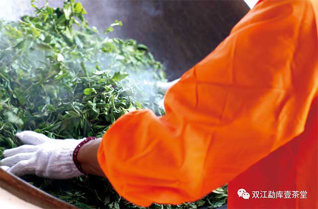 双江勐库壹茶堂私享冰岛满寸金饼