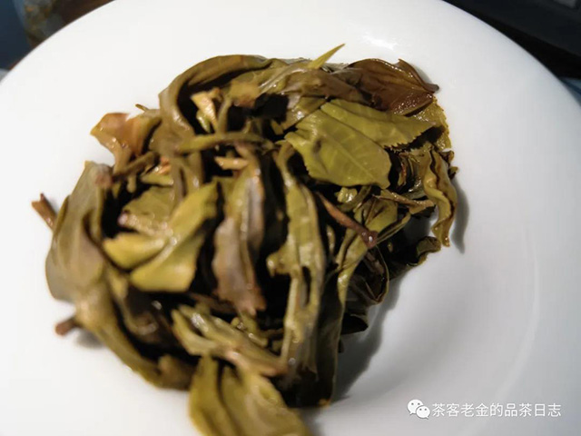 晓茶犀牛塘单株