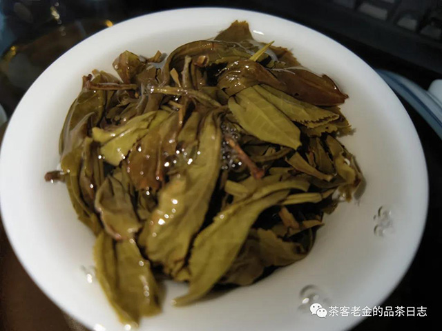 晓茶犀牛塘单株