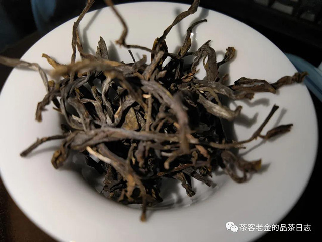 晓茶犀牛塘单株