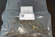 茶客老金的品茶日志：犀牛塘单株（晓茶）