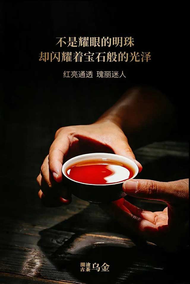 澜沧古茶