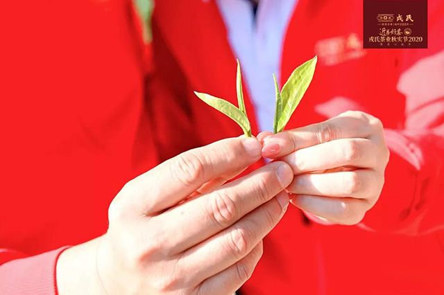 勐库戎氏茶业
