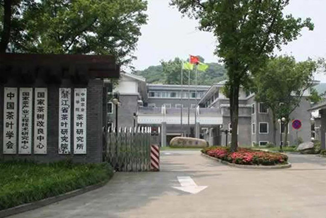 勐库戎氏亥公茶园基地