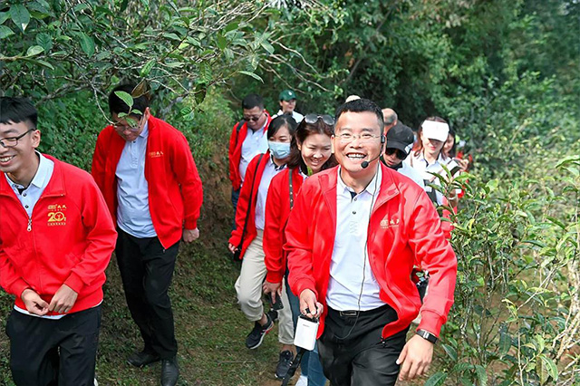 勐库戎氏亥公茶园基地