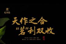 2021龙润茶·大利：天作之合，“茗”利双收