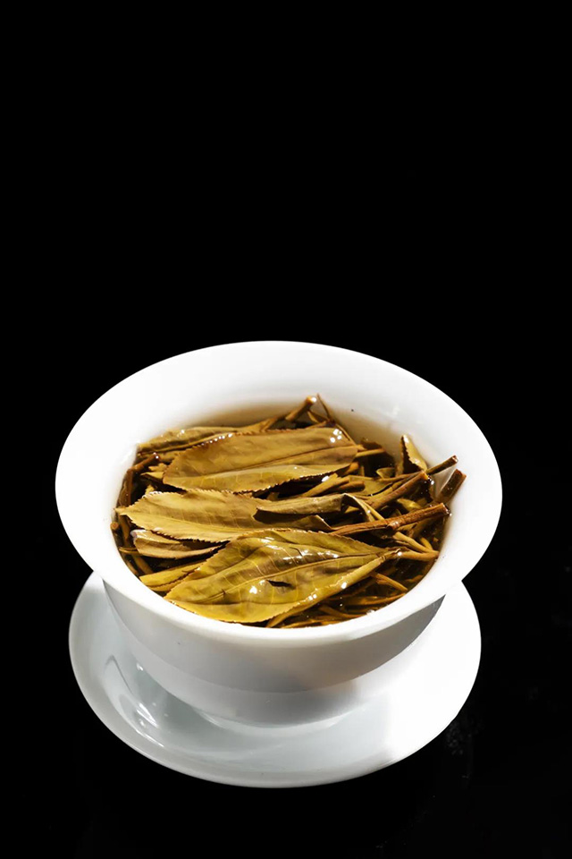 龙润茶普洱茶