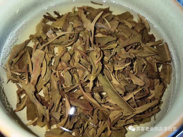 晓茶五星易武